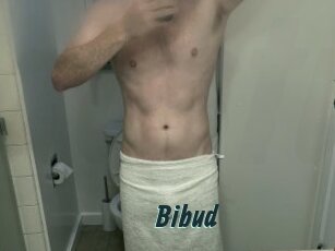 Bibud