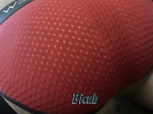 Bicub