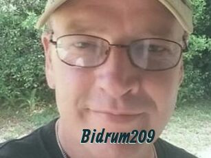 Bidrum209