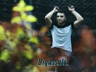 Bigassalex