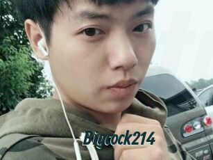 Bigcock214