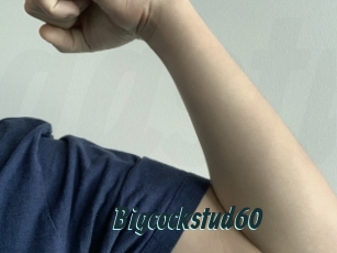 bigcockstud60 Gays Tube