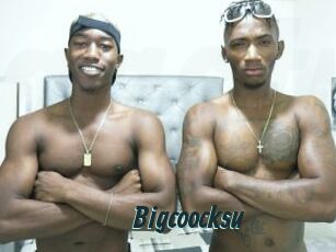 Bigcoocksu