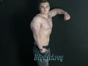 Bigdickroy