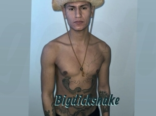 Bigdicksnake