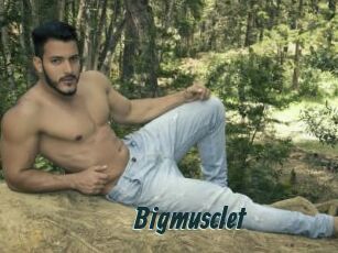 Bigmusclet