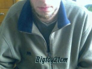 Bigtoy21cm