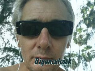 Biguncutcock