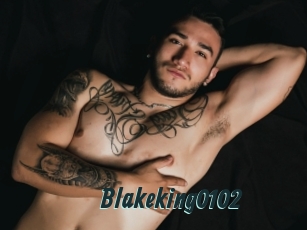Blakeking0102