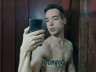 Bongoo