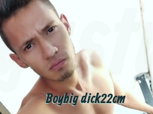 Boybig_dick22cm