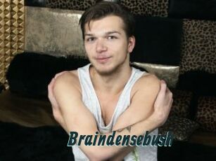 Braindensebush