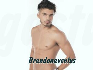 Brandonaventus