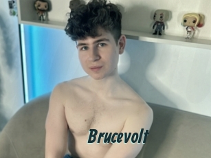 Brucevolt