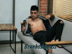 Brunhosbigass