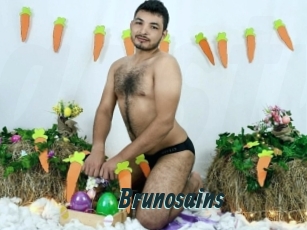 brunosains Gays Tube