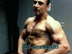 Bull_dosemuscles