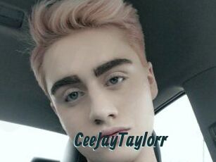 CeeJayTaylorr