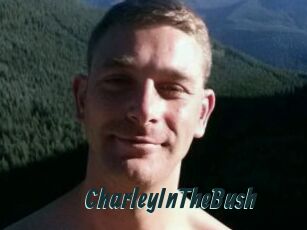 CharleyInTheBush