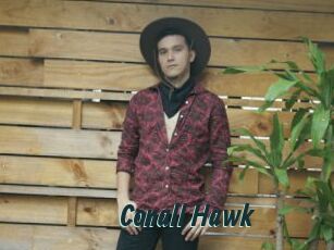 Conall_Hawk