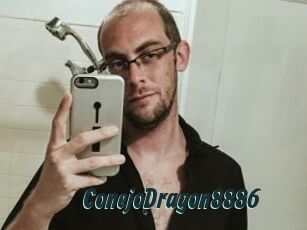 ConejoDragon8886
