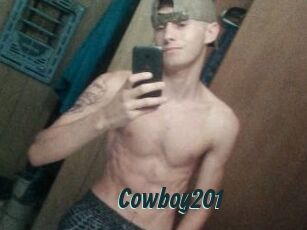 Cowboy201