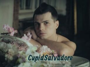 CupidSalvadore