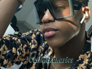 Callmekanaries