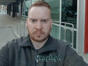 Cangingie