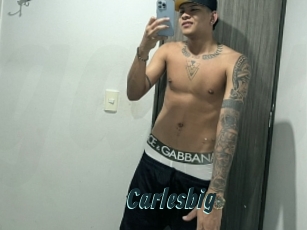Carlesbig
