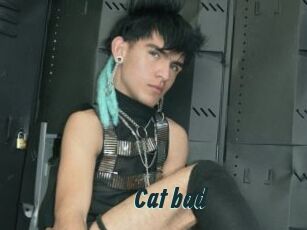 Cat_bad