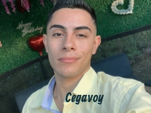 Cegavoy