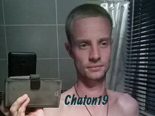 Chaton19