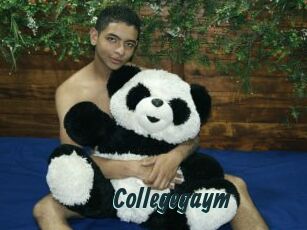 Collegegaym