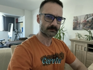 Corvin
