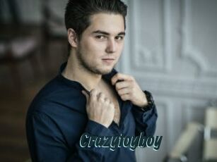 Crazytoyboy