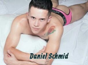 Daniel_Schmid
