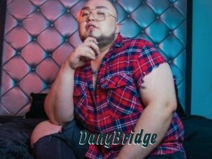 DanyBridge