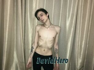 DavidHero