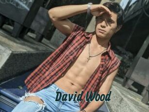 David_Wood