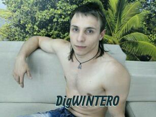 DigWINTERO