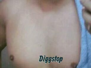 Diggstop
