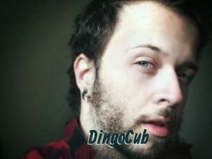 DingoCub