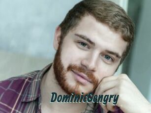 DominicGengry