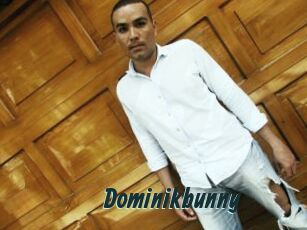 Dominikbunny