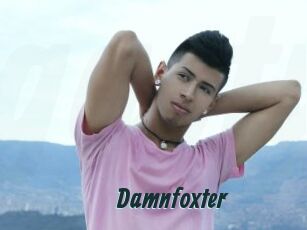 Damnfoxter