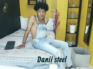 Danii_steel