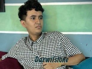 Darwilstone