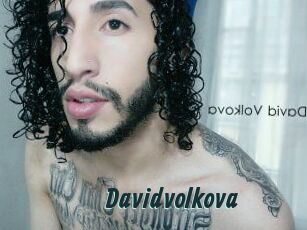 Davidvolkova