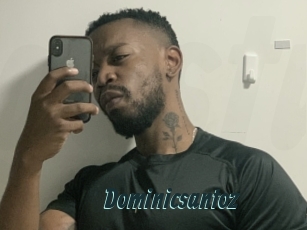 Dominicsantoz